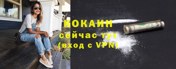 первитин Каменка