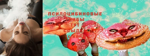 первитин Каменка