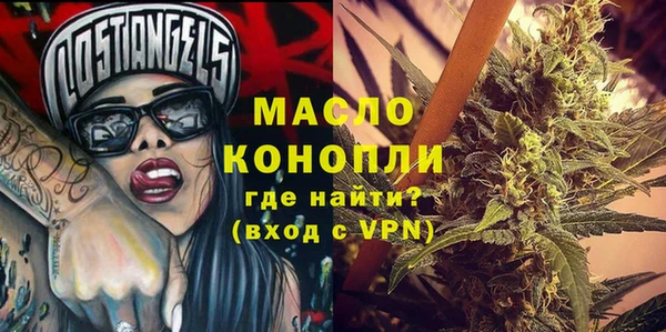 первитин Каменка