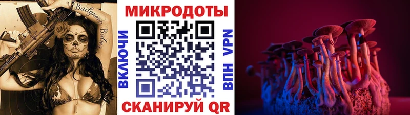 Купить  Джанкой  Псилоцибиновые грибы Psilocybine cubensis 
